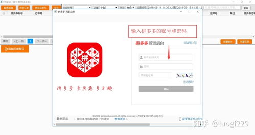 商品和订单的er图 拼多多商家在拼多多代发商品下单使用下单助手一键采购
