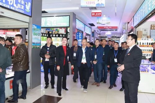 体验专业服务 感受商业魅力——广东四会玉器精英考察团亲临太和集团下属企业参观商城