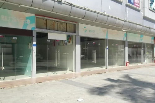 繁华落尽 东莞工业园商场的凋零与反思